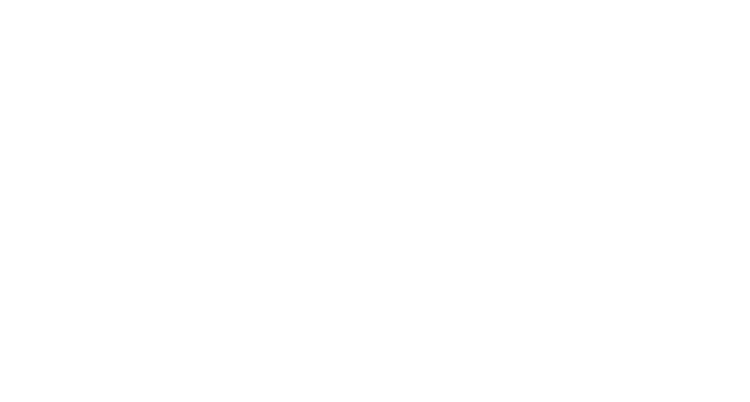 Real Broker LLC